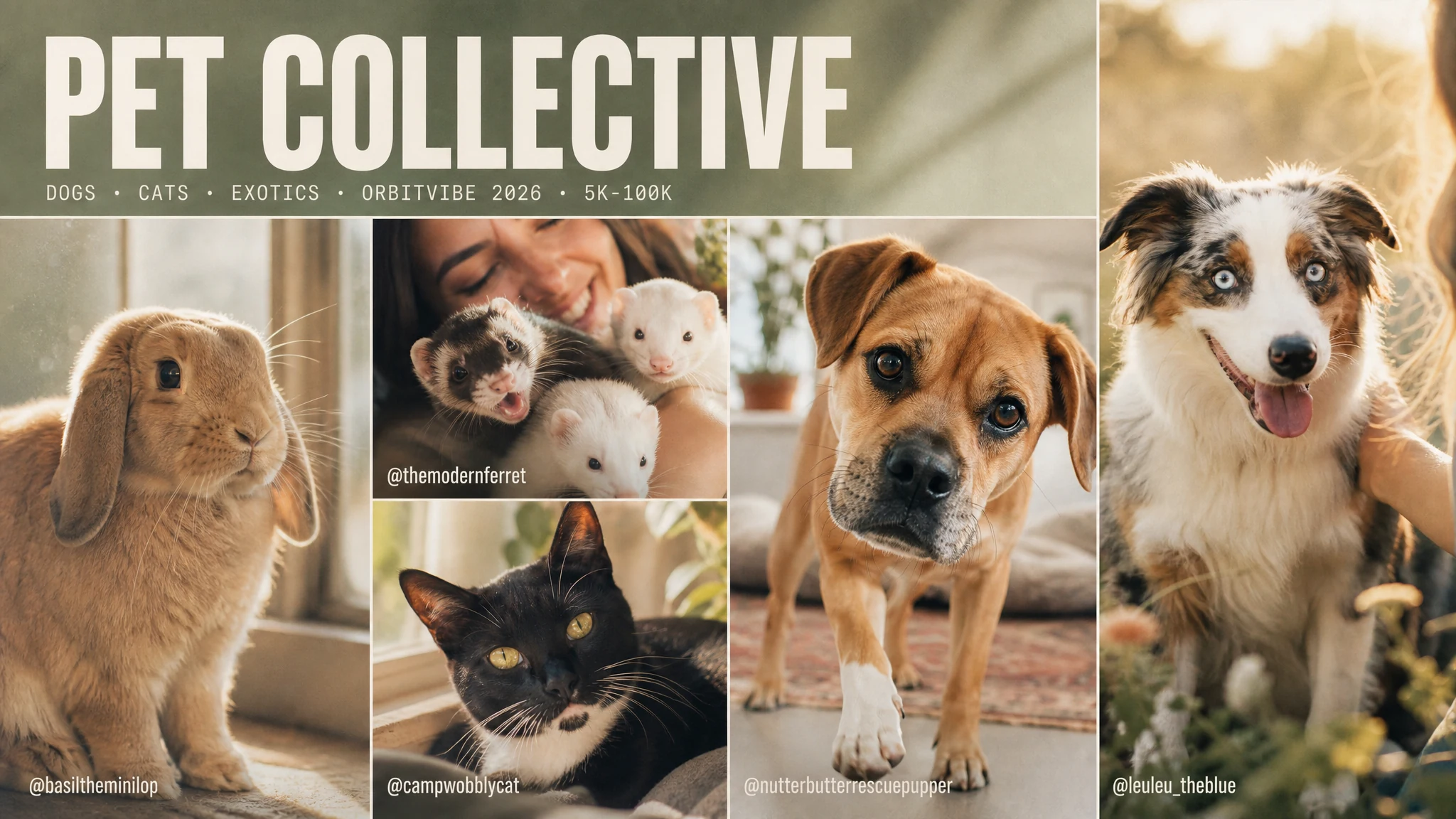 Top Pet Creators by Engagement Rate (Dogs, Cats & Exotics) — Micro & Nano Influencer List
